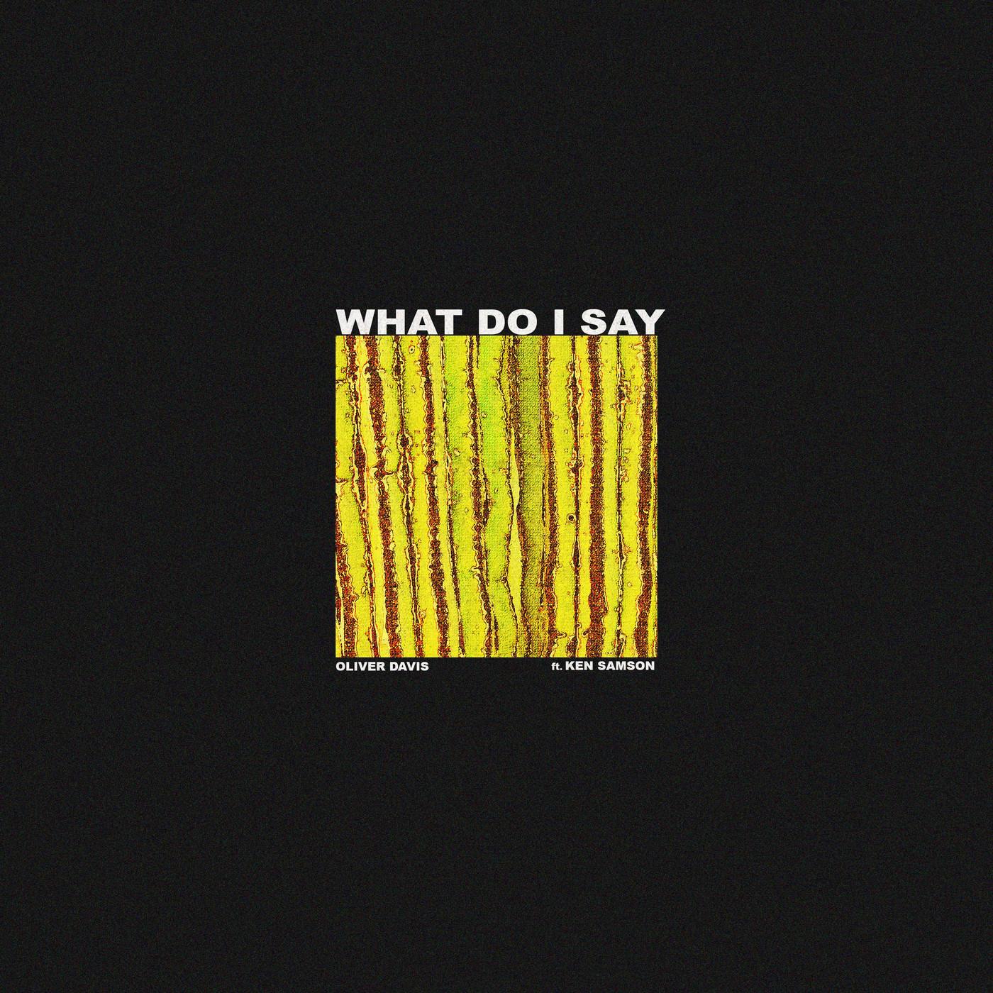 What Do I Say (feat. Ken Samson)