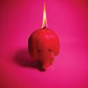 Pink Elephant专辑