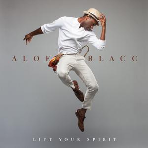 The Man - Aloe Blacc (Karaoke Version) 带和声伴奏 （降1半音）