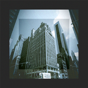 Concrete Jungle