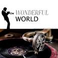 Wonderful World