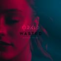 Wasted (Acoustic Version)专辑