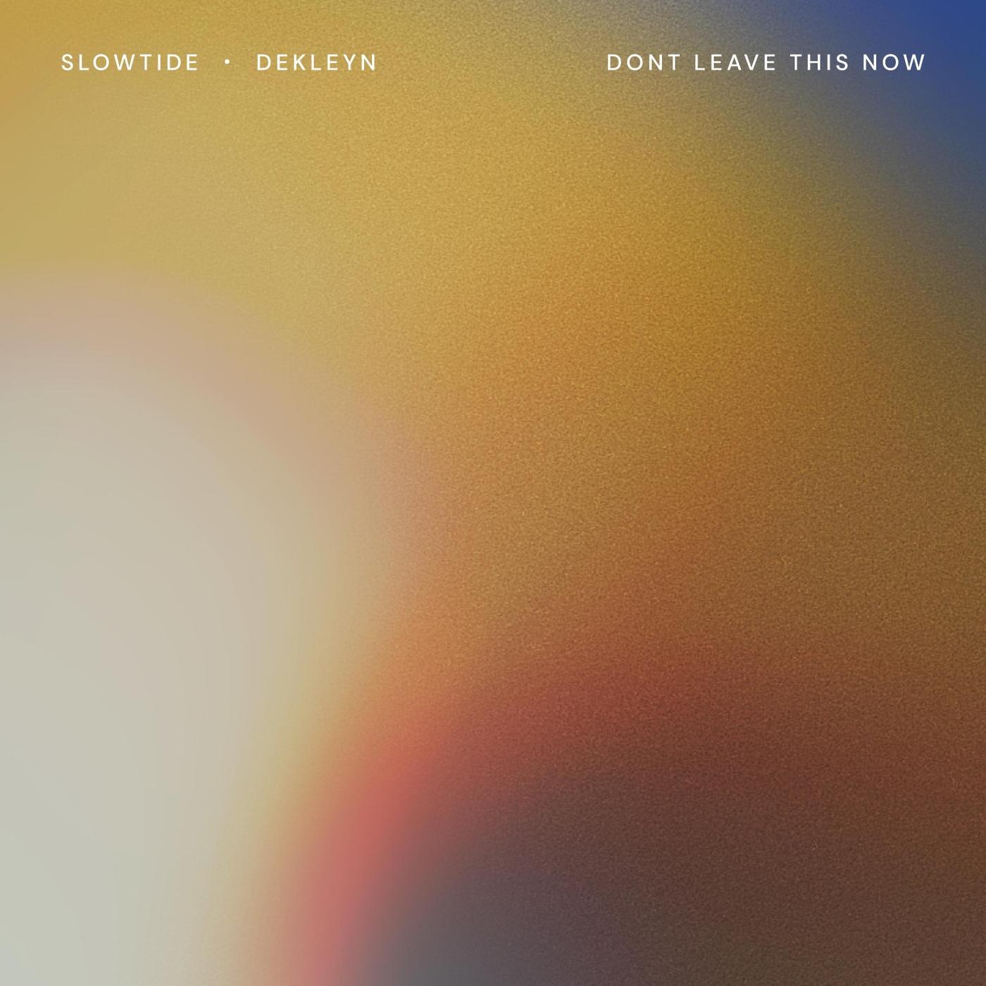 Don't Leave This Now