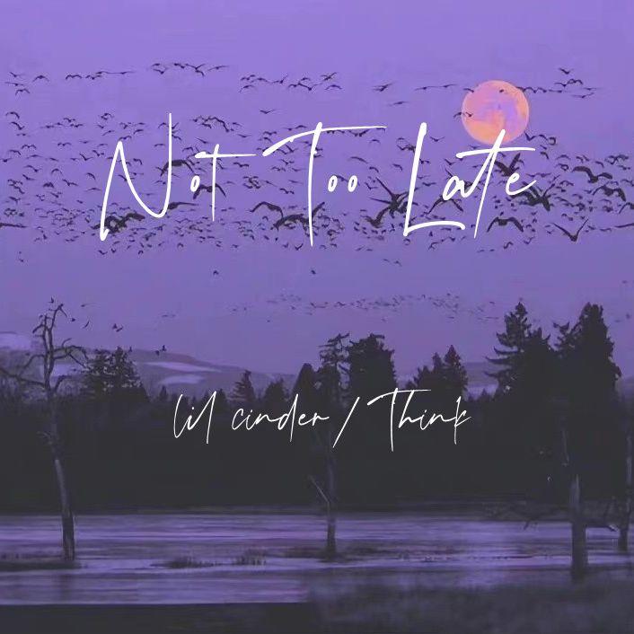 Not Too Late (Prod EVOMUSIC&颜书艺)