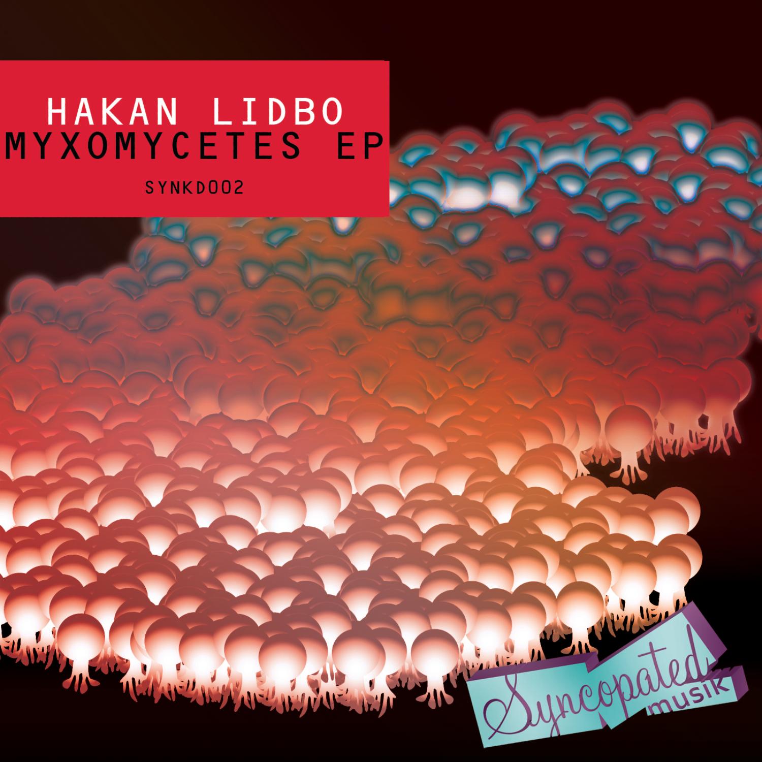 Myxomycetes