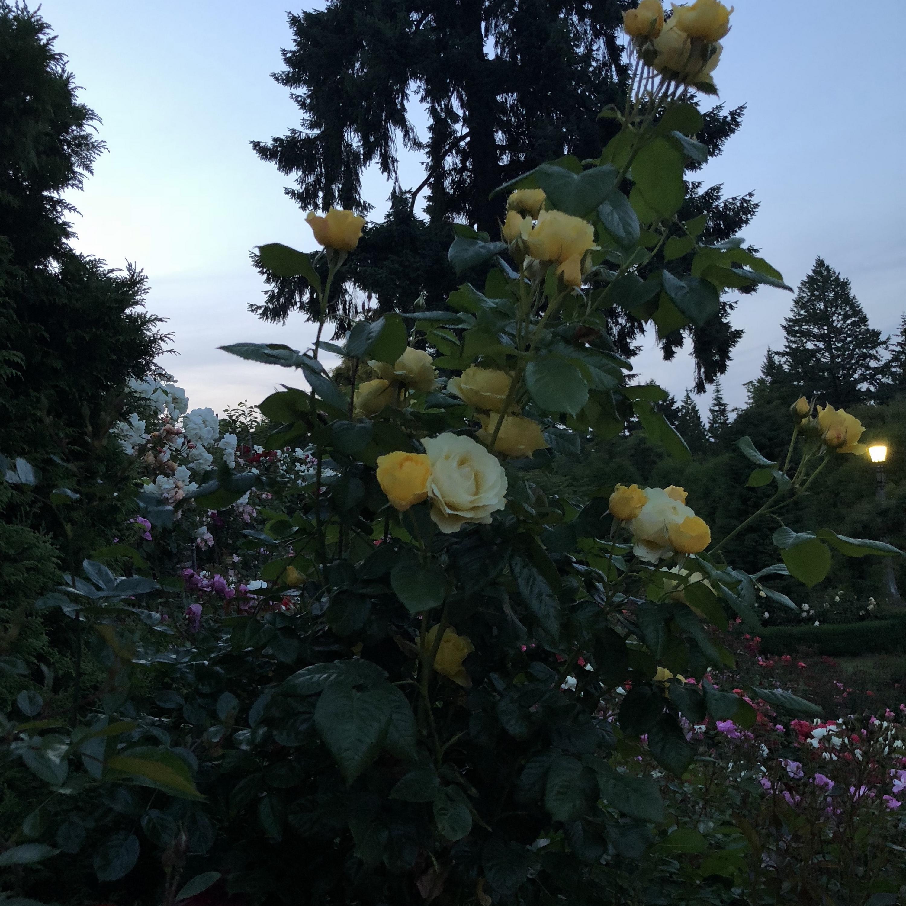 everything is quiet now