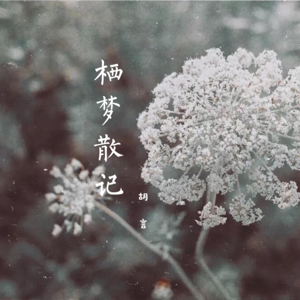 栖 梦 散 记 - 胡 言