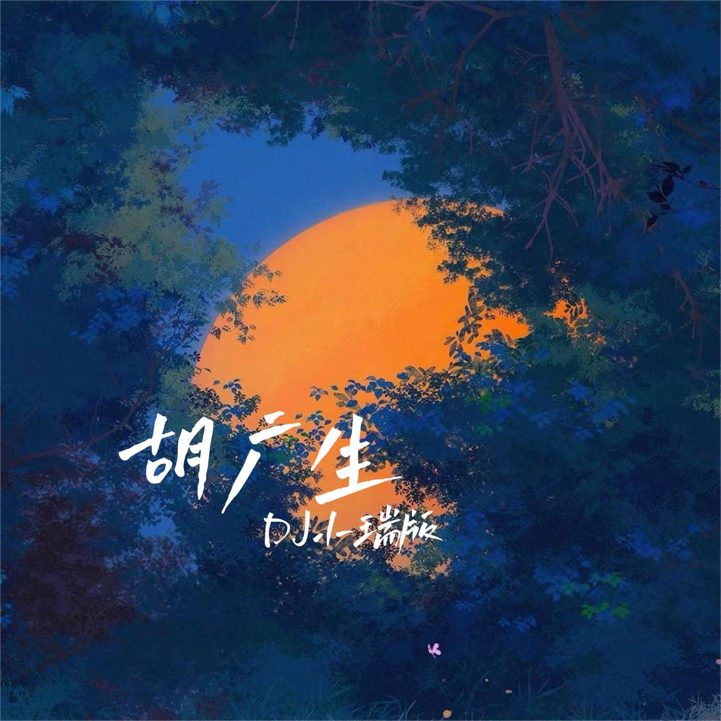 胡广生（DJ小瑞版）