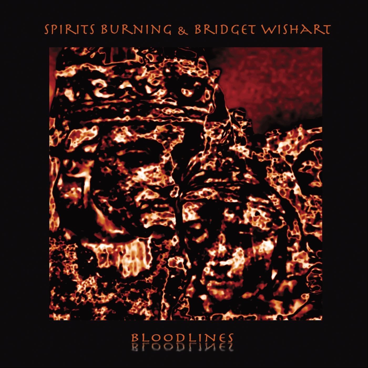 Rocket to the End of the Line (feat. Steve Swindells & Daevid Allen)