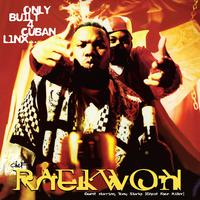 Raekwon - Glaciers Of Ice (Instrumental) 无和声伴奏