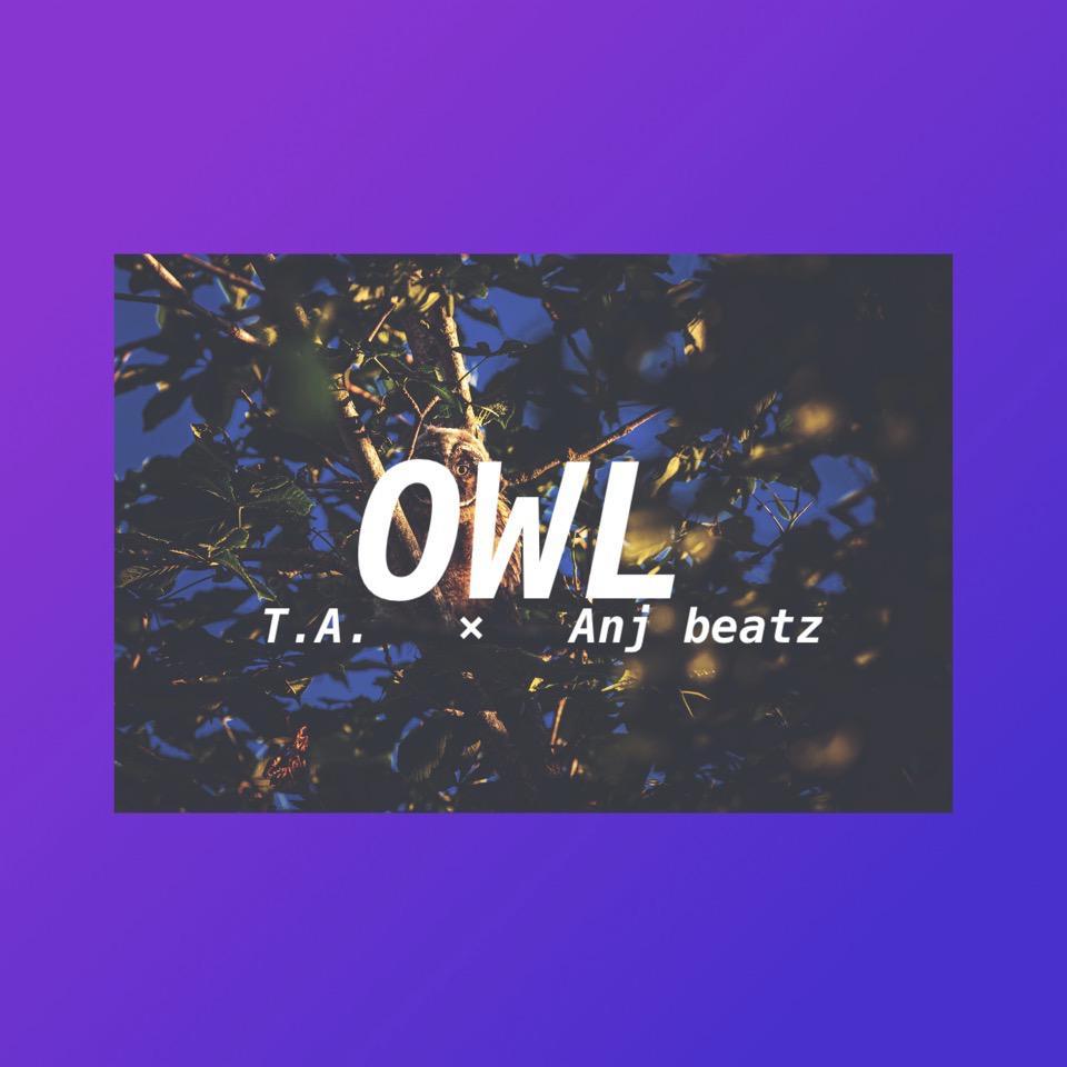 [free beat] "OWL" (prod. by T.A. & Anj beatz)