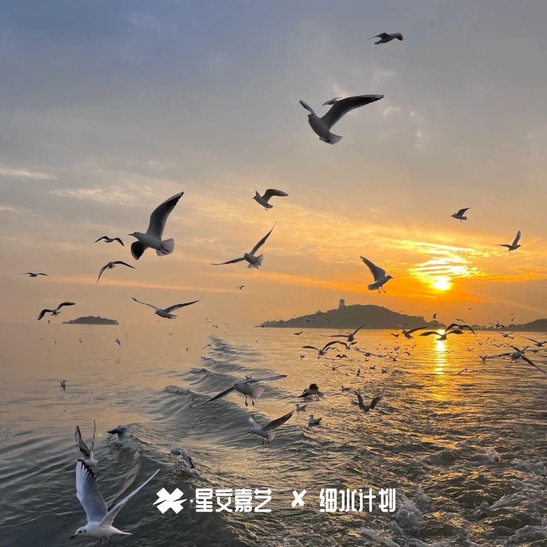 沈阳热播套曲