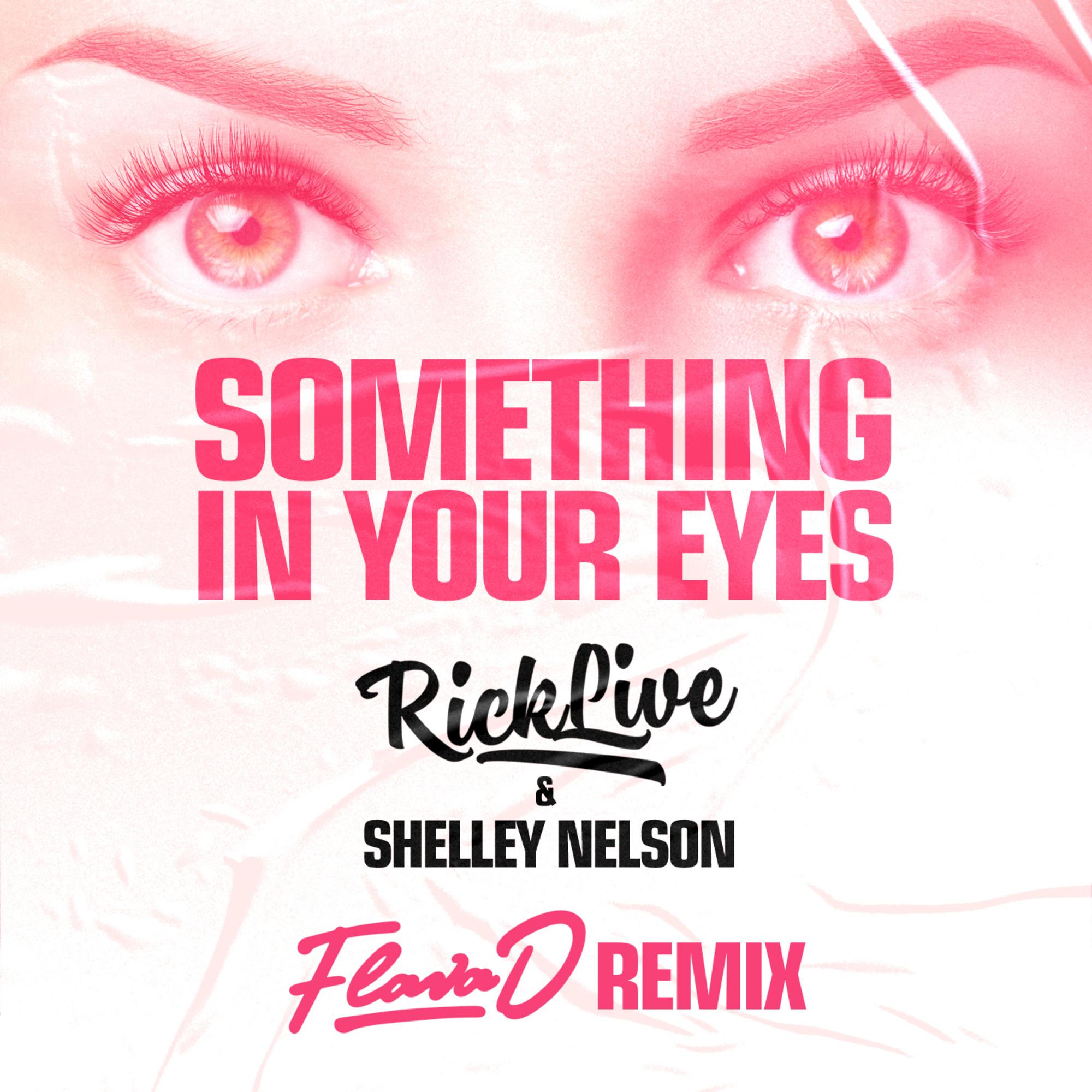 Something In Your Eyes [Flava D Remix ]