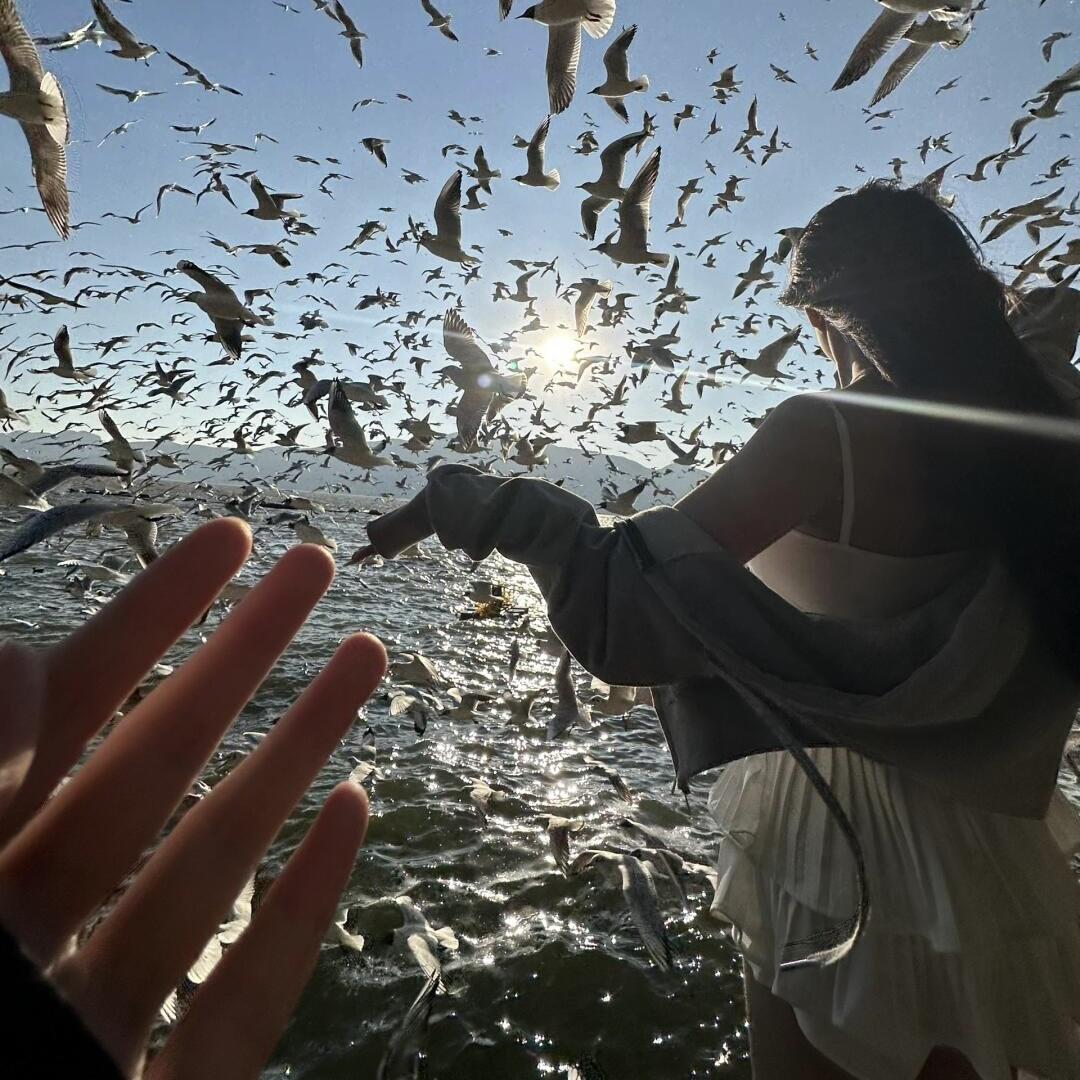 海与你