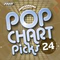 Zoom Karaoke - Pop Chart Picks, Vol. 24