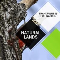 Natural Lands - Thankfulness For Nature