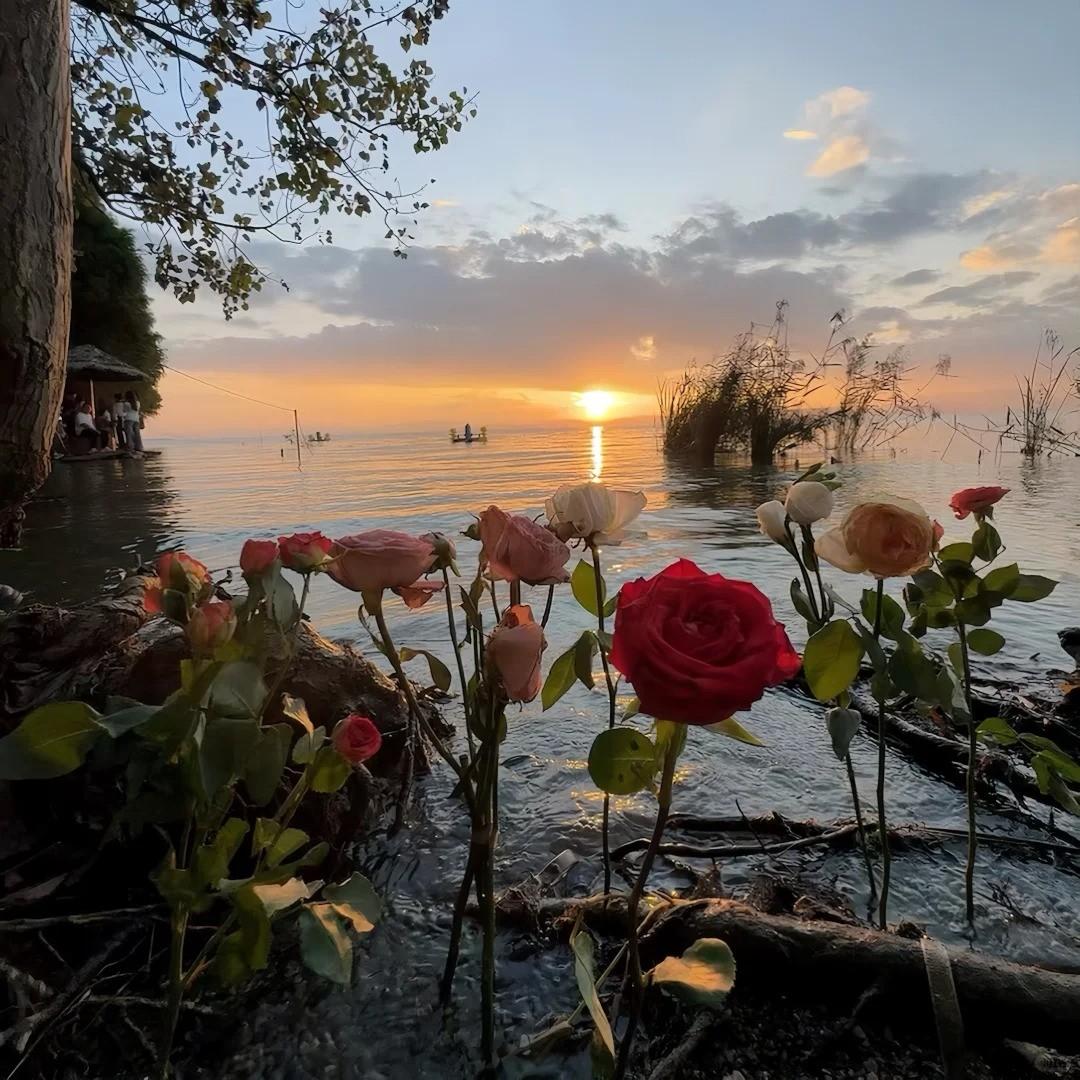 遗憾也值得 王靖雯