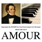 Impromptu, Op. 90, D. 899, No. 3 en Sol Bémol Majeur / in G Flat Major (From the Film "Amour")专辑