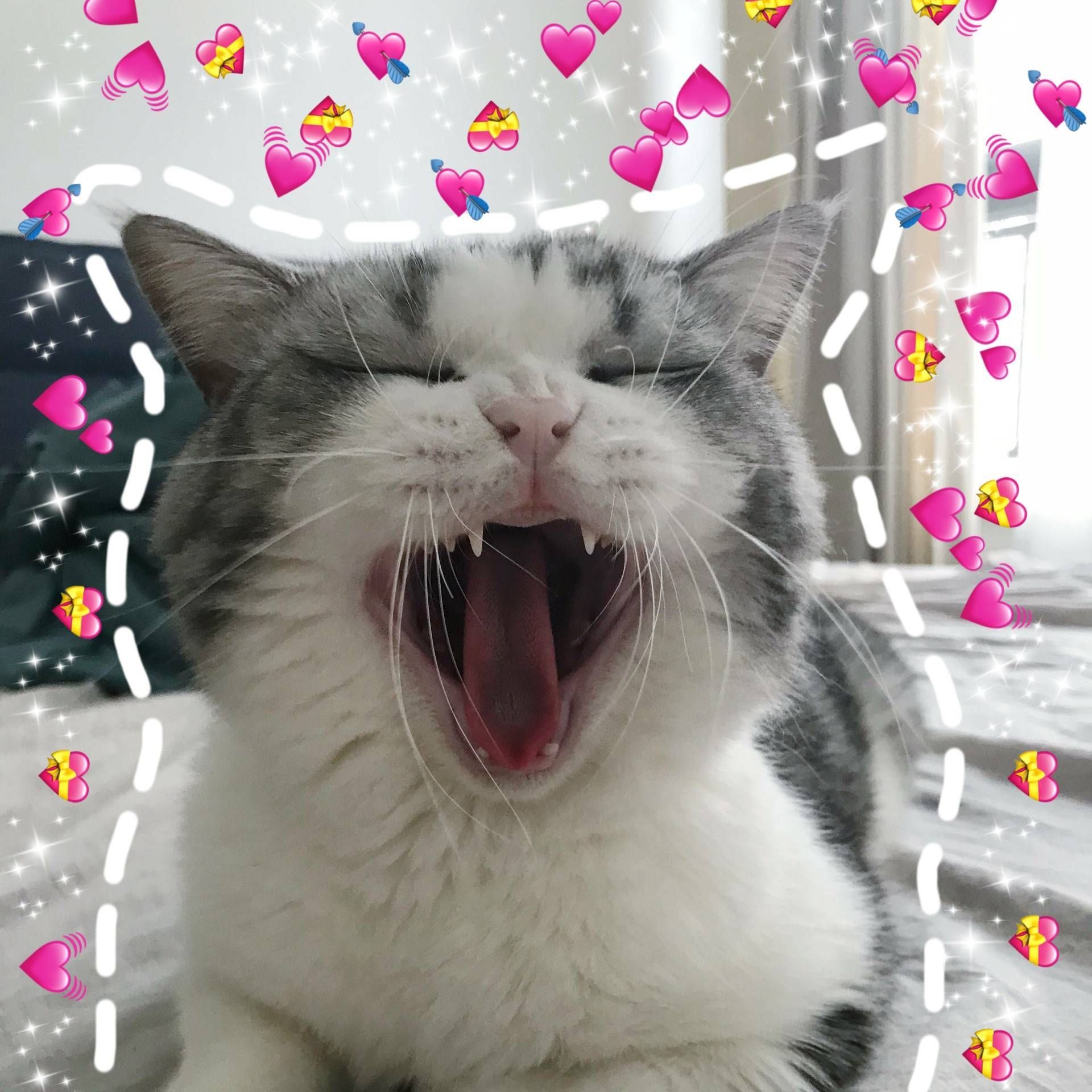 【粤语翻唱】一花依世界(翻自 洛天依)