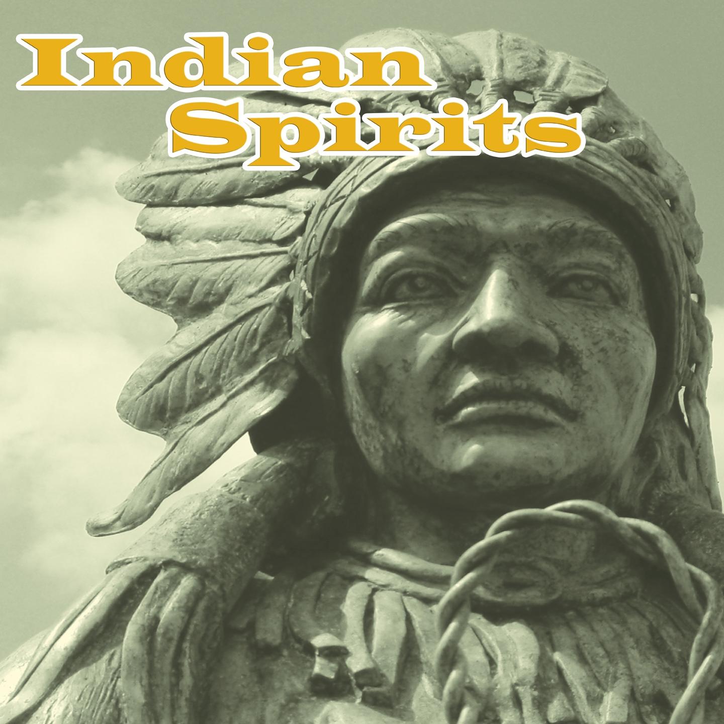 The World Of Indian Spirits