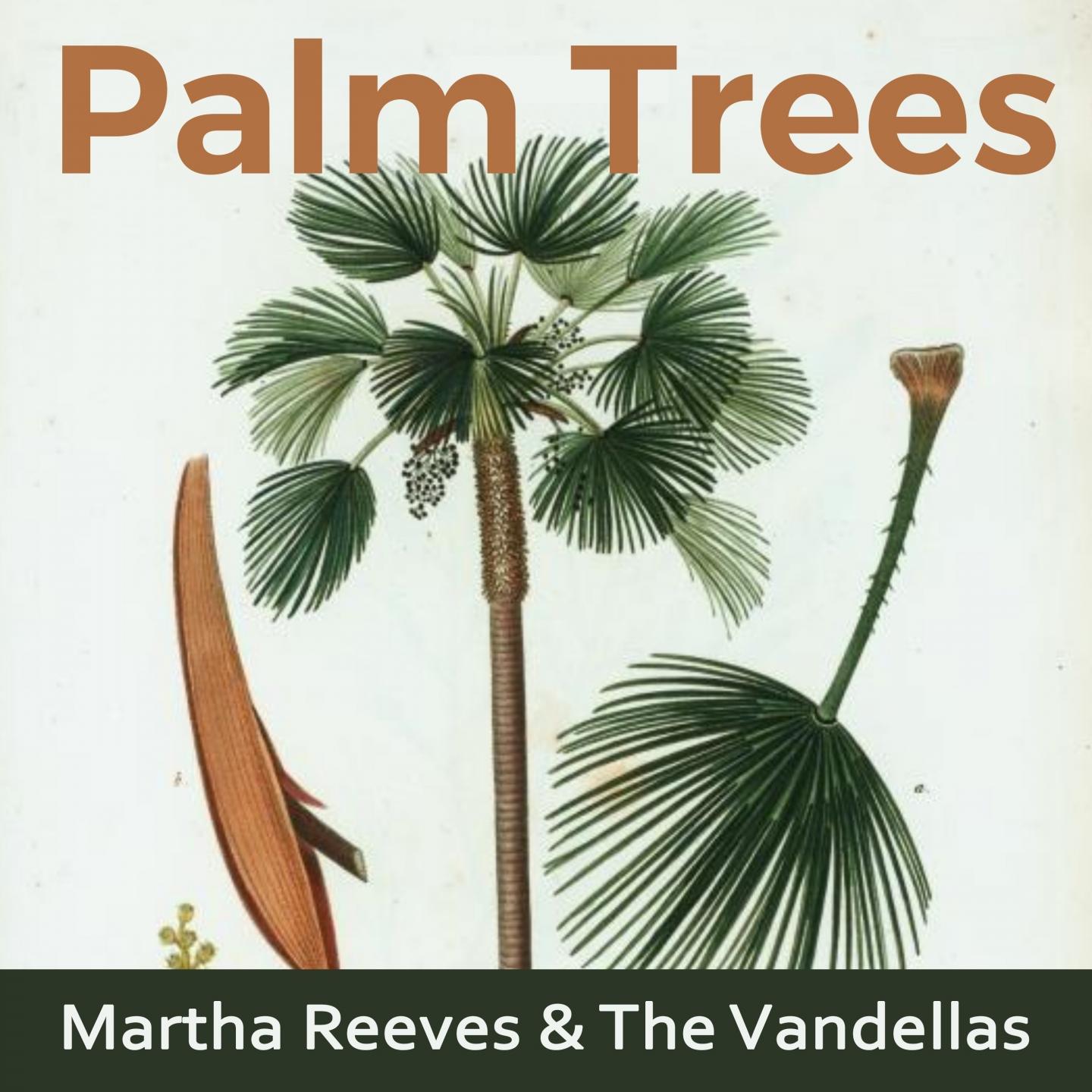 Palm Trees