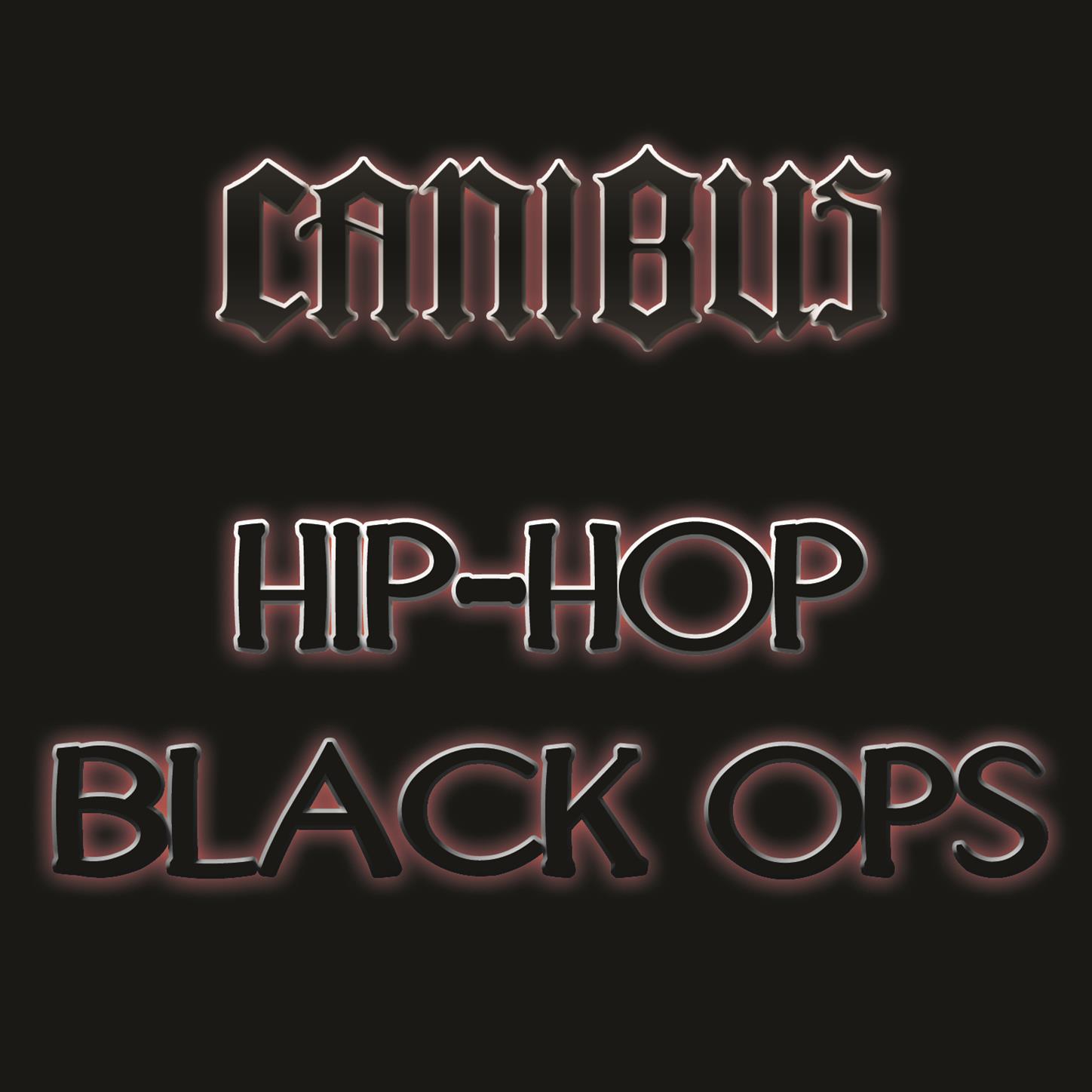 Hip-Hop Black Ops专辑