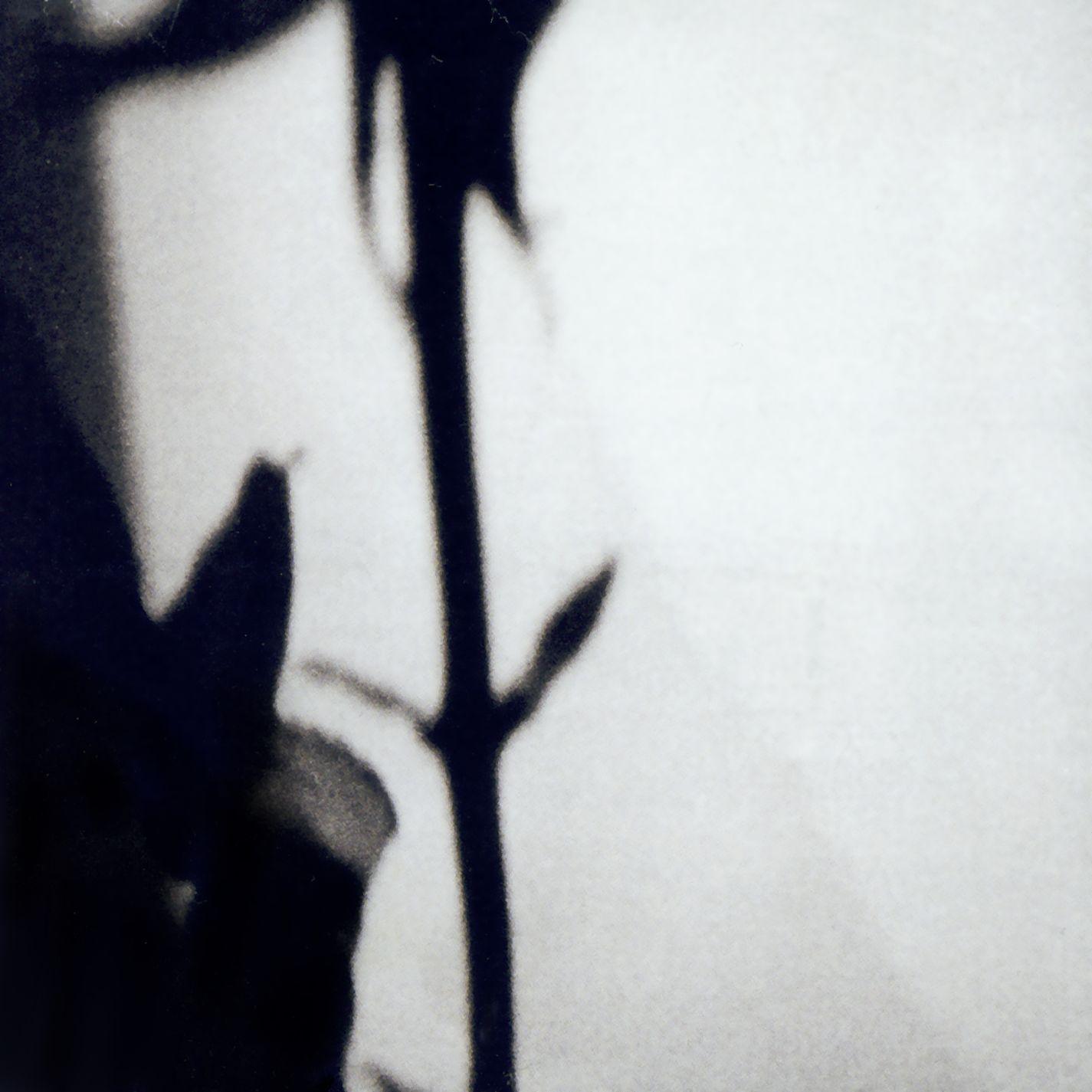 The Eternal - Variations On Joy Division