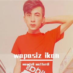 Wapasiz ikan