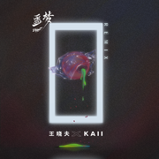 噩梦 (王晓夫 & KAII Remix)