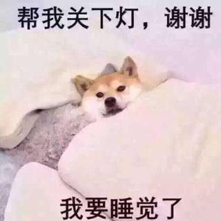 论如何在舍友的呼噜声中优雅地睡着