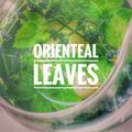 Oriental leaves(Original mix)