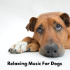 Dog Sleep Academy - Therapeutic Sound for Dogs
