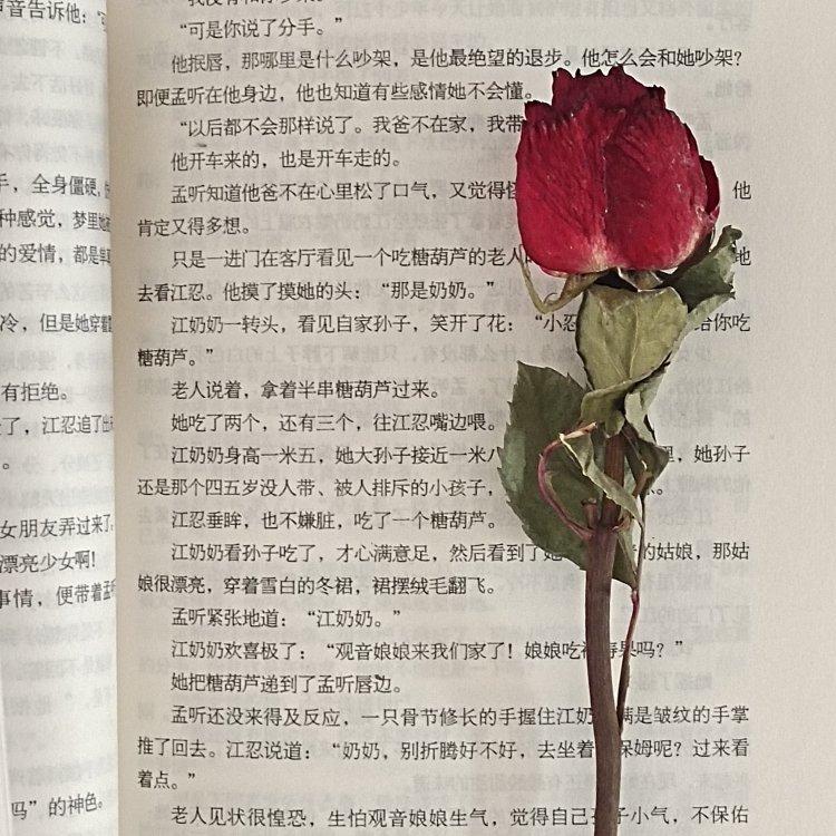 有些美妙的纯音乐