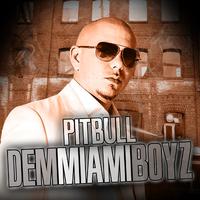 Dem Miami Boyz - Pitbull