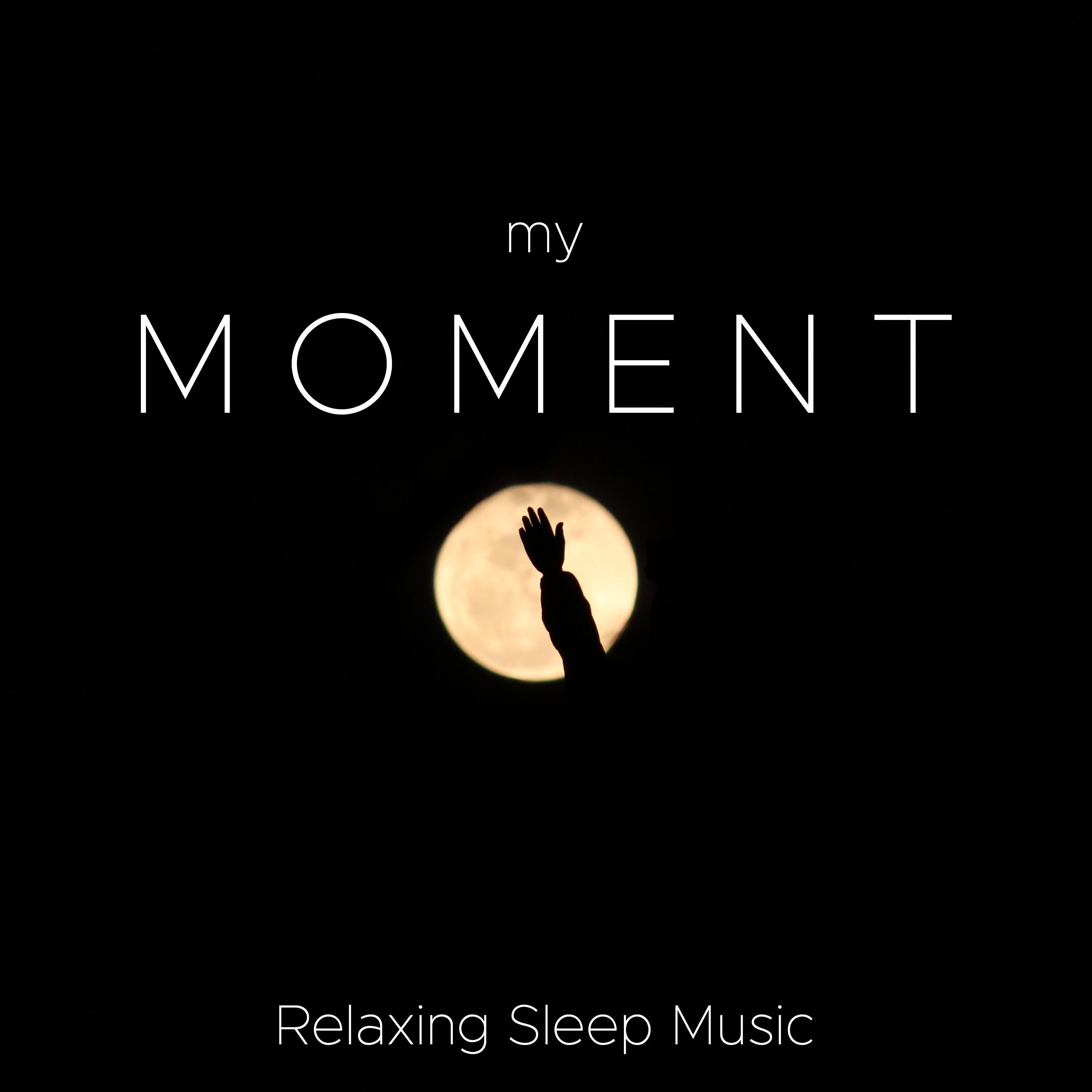 My Moment - Relaxing Sleep Music, No Effort Soothing Sounds, Nature Sounds (Rain, Ocean Waves)专辑