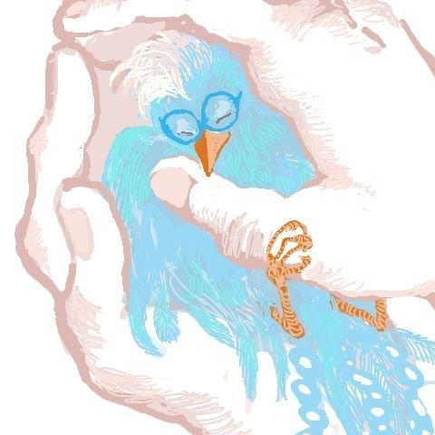 后摇 期末的光
