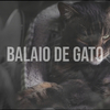 Balaio de Gato - Adeus