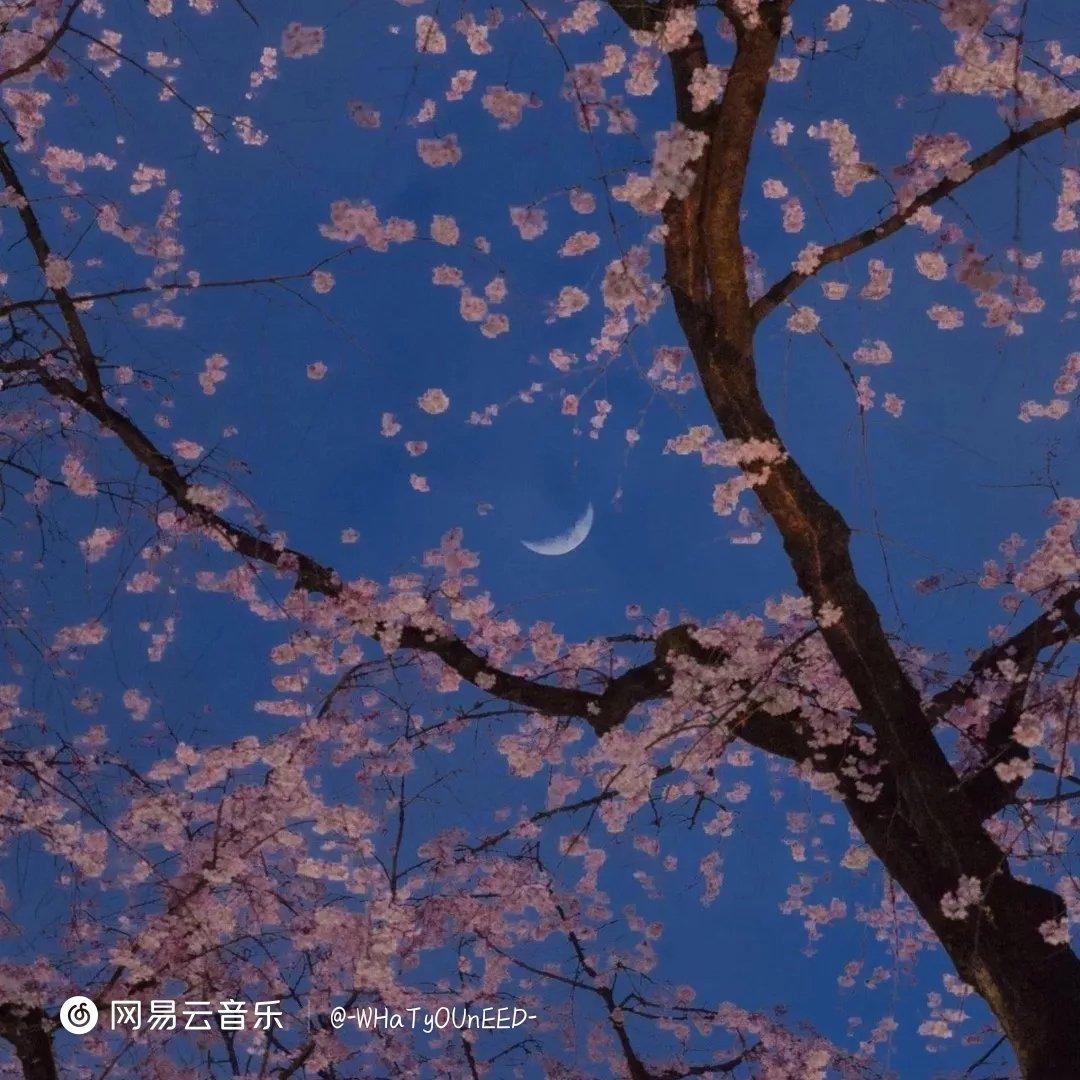 粤语情歌（失恋专用）