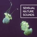 Sensual Nature Sounds – Stress Relief, Soft New Age, Chilled Music