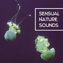 Sensual Nature Sounds – Stress Relief, Soft New Age, Chilled Music专辑