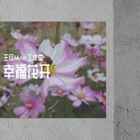 幸福花开 伴奏