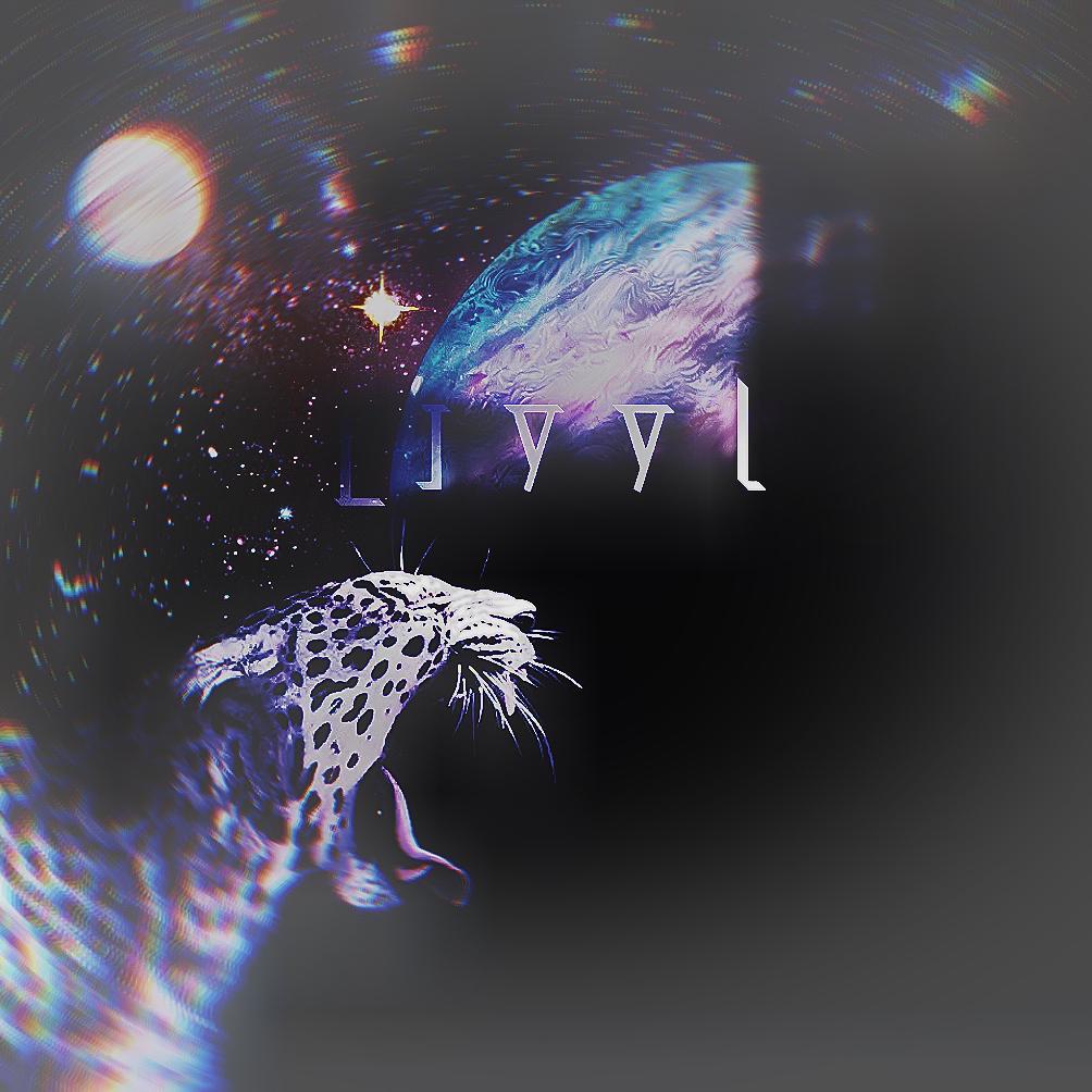 Lana Del Rey-Summertime Sadness（DJ Ljyyl / 妄遇Music / 陈小新阿 remix）