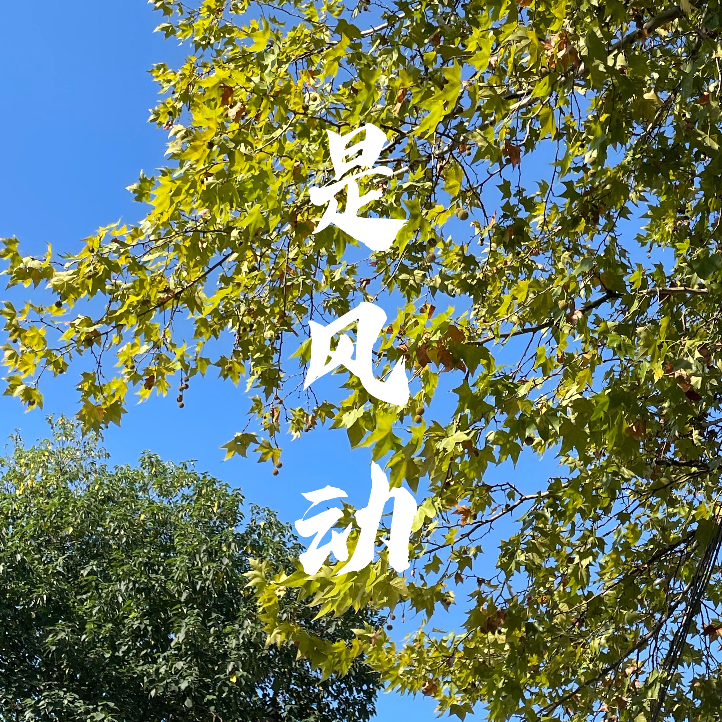 是风动