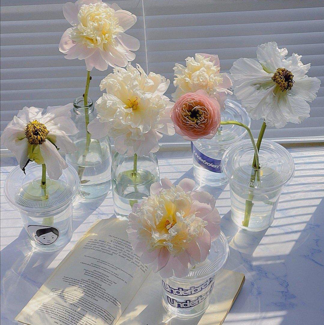 平静岁月｜宠辱不惊 闲看庭前花开花落
