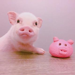 　  ᴛʜᴇ ʙᴇsᴛ ʜɪᴘʜᴏᴘ