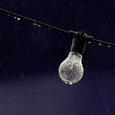 六月雨白