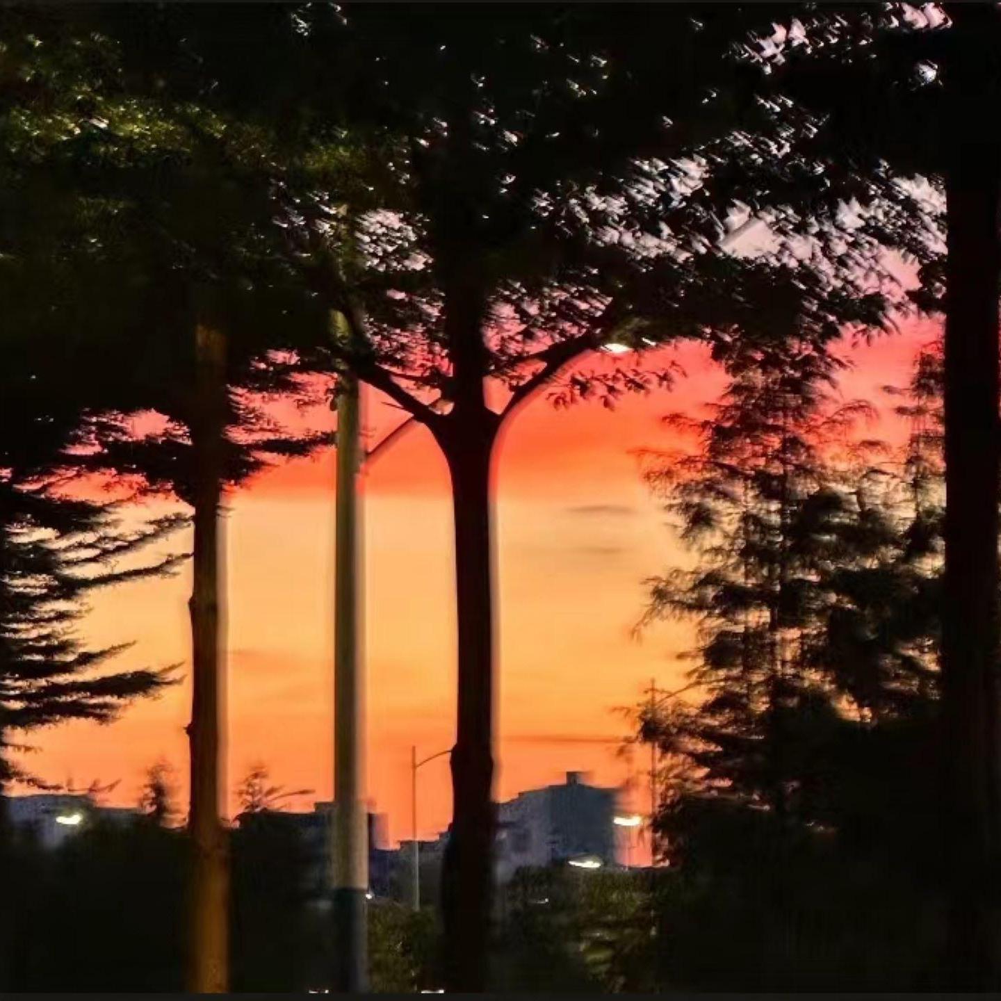 北昼歌曲封面