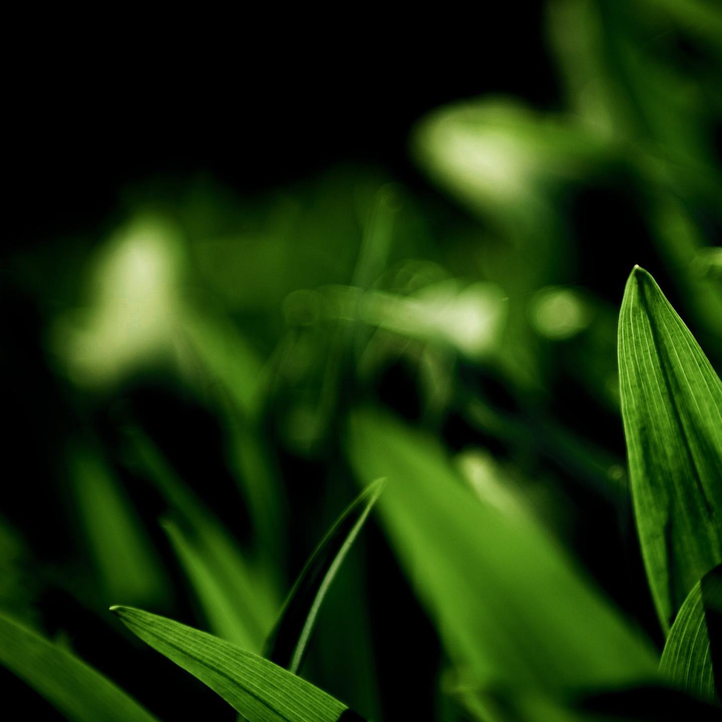 植物大战僵尸 (DJ版)