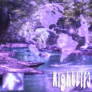 NIGHTLIF3