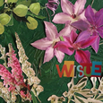[Flower Shop] : 여름과 가을 사이